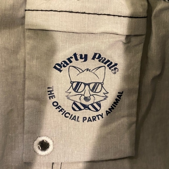 PARTY PANTS Solids Preppy Shorts Dark Gray Men’s Size XL Extra Large - Picture 7 of 8